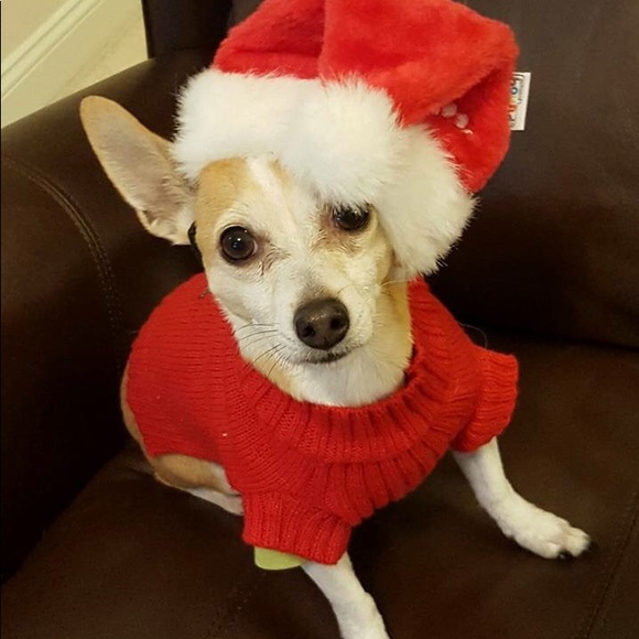 B2GO on $6 or less items or 3* items = 20% off!🔻 - Picture 4 of 5